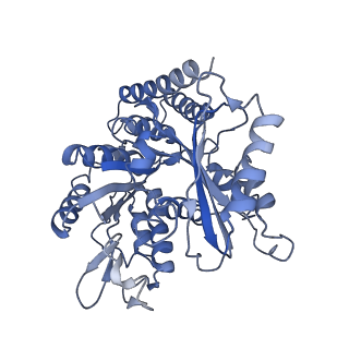 8757_5w3j_B_v1-7
Yeast microtubule stabilized with Taxol assembled from mutated tubulin