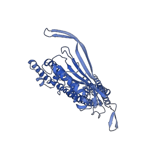 8764_5w3s_B_v1-3
Cryo-electron microscopy structure of a TRPML3 ion channel