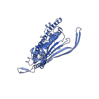 8764_5w3s_D_v1-3
Cryo-electron microscopy structure of a TRPML3 ion channel