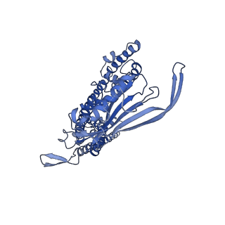 8764_5w3s_D_v1-4
Cryo-electron microscopy structure of a TRPML3 ion channel