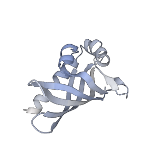 21535_6w4o_A_v1-2
CaMKII alpha-30 Cryo-EM reconstruction