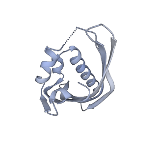 21535_6w4o_B_v1-2
CaMKII alpha-30 Cryo-EM reconstruction