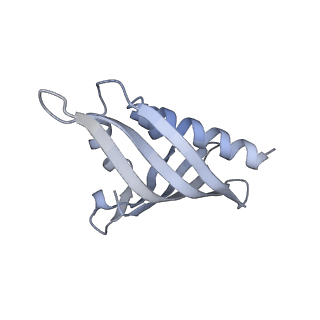 21535_6w4o_C_v1-2
CaMKII alpha-30 Cryo-EM reconstruction