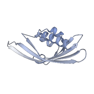 21535_6w4o_D_v1-2
CaMKII alpha-30 Cryo-EM reconstruction