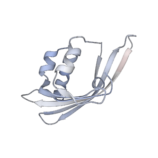 21535_6w4o_E_v1-2
CaMKII alpha-30 Cryo-EM reconstruction