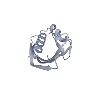 21535_6w4o_F_v1-2
CaMKII alpha-30 Cryo-EM reconstruction