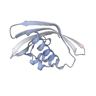 21535_6w4o_G_v1-2
CaMKII alpha-30 Cryo-EM reconstruction