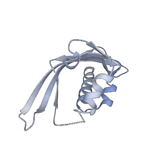 21535_6w4o_J_v1-2
CaMKII alpha-30 Cryo-EM reconstruction