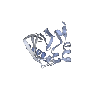 21535_6w4o_K_v1-2
CaMKII alpha-30 Cryo-EM reconstruction