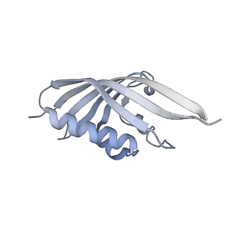 21535_6w4o_M_v1-2
CaMKII alpha-30 Cryo-EM reconstruction