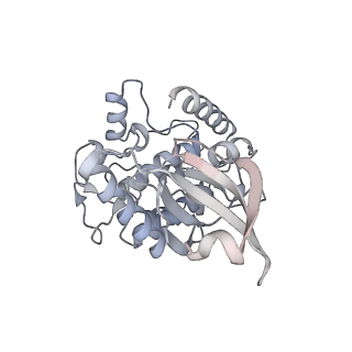 21535_6w4o_O_v1-2
CaMKII alpha-30 Cryo-EM reconstruction