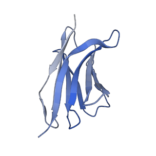 21539_6w4s_H_v1-1
Structure of apo human ferroportin in lipid nanodisc