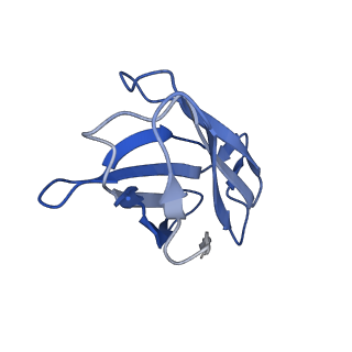 21539_6w4s_L_v1-1
Structure of apo human ferroportin in lipid nanodisc