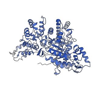 21540_6w4x_B_v1-1
Holocomplex of E. coli class Ia ribonucleotide reductase with GDP and TTP