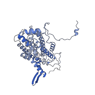 21540_6w4x_C_v1-1
Holocomplex of E. coli class Ia ribonucleotide reductase with GDP and TTP