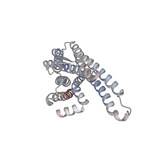 32298_7w40_A_v1-0
Cryo-EM Structure of Human Gastrin Releasing Peptide Receptor in complex with the agonist Bombesin (6-14) [D-Phe6, beta-Ala11, Phe13, Nle14] and Gq heterotrimers