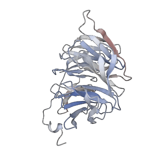 32298_7w40_C_v1-0
Cryo-EM Structure of Human Gastrin Releasing Peptide Receptor in complex with the agonist Bombesin (6-14) [D-Phe6, beta-Ala11, Phe13, Nle14] and Gq heterotrimers