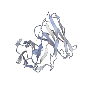32298_7w40_H_v1-0
Cryo-EM Structure of Human Gastrin Releasing Peptide Receptor in complex with the agonist Bombesin (6-14) [D-Phe6, beta-Ala11, Phe13, Nle14] and Gq heterotrimers