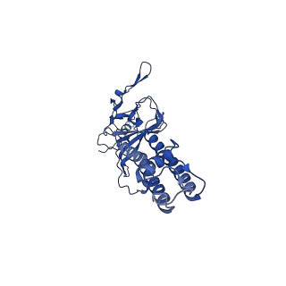 32310_7w4o_A_v1-0
The structure of KATP H175K mutant in pre-open state