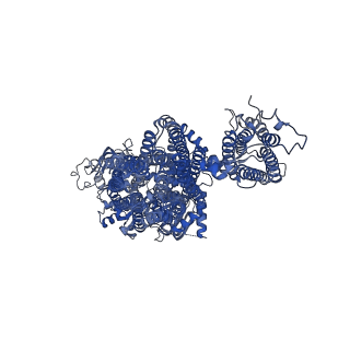 32310_7w4o_B_v1-0
The structure of KATP H175K mutant in pre-open state