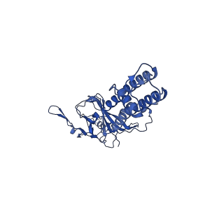 32310_7w4o_C_v1-0
The structure of KATP H175K mutant in pre-open state