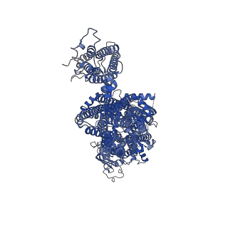 32310_7w4o_D_v1-0
The structure of KATP H175K mutant in pre-open state