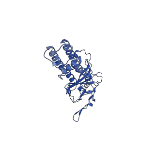 32310_7w4o_E_v1-0
The structure of KATP H175K mutant in pre-open state