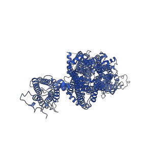 32310_7w4o_F_v1-0
The structure of KATP H175K mutant in pre-open state