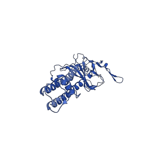 32310_7w4o_G_v1-0
The structure of KATP H175K mutant in pre-open state