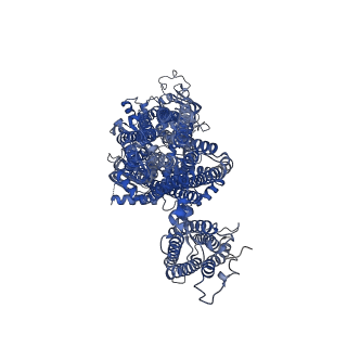 32310_7w4o_H_v1-0
The structure of KATP H175K mutant in pre-open state