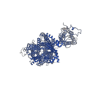 32311_7w4p_B_v1-0
The structure of KATP H175K mutant in closed state