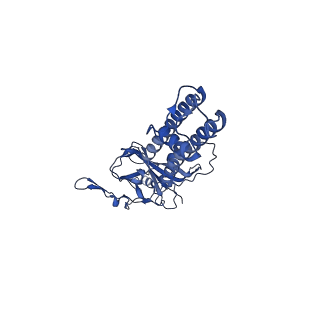 32311_7w4p_C_v1-0
The structure of KATP H175K mutant in closed state
