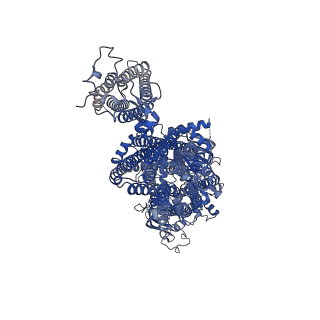 32311_7w4p_D_v1-0
The structure of KATP H175K mutant in closed state