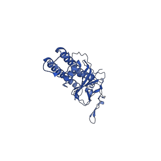 32311_7w4p_E_v1-0
The structure of KATP H175K mutant in closed state