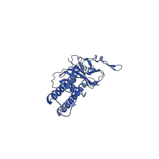 32311_7w4p_G_v1-0
The structure of KATP H175K mutant in closed state
