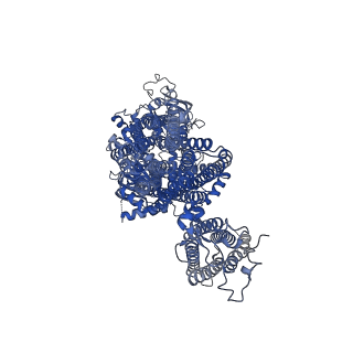 32311_7w4p_H_v1-0
The structure of KATP H175K mutant in closed state