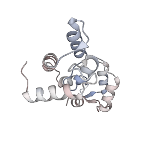 37260_8w41_I_v1-0
Cryo-EM structure of Myosin VI in the autoinhibited state