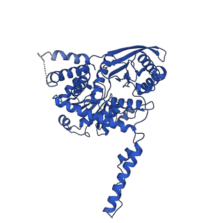 37266_8w4j_A_v1-1
Cryo-EM structure of the KLHL22 E3 ligase bound to human glutamate dehydrogenase I