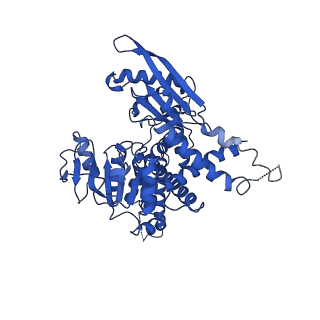 37266_8w4j_B_v1-1
Cryo-EM structure of the KLHL22 E3 ligase bound to human glutamate dehydrogenase I
