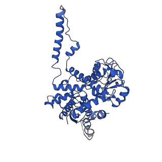 37266_8w4j_C_v1-1
Cryo-EM structure of the KLHL22 E3 ligase bound to human glutamate dehydrogenase I