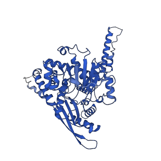 37266_8w4j_D_v1-1
Cryo-EM structure of the KLHL22 E3 ligase bound to human glutamate dehydrogenase I