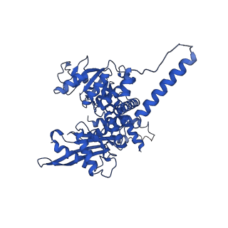 37266_8w4j_E_v1-1
Cryo-EM structure of the KLHL22 E3 ligase bound to human glutamate dehydrogenase I