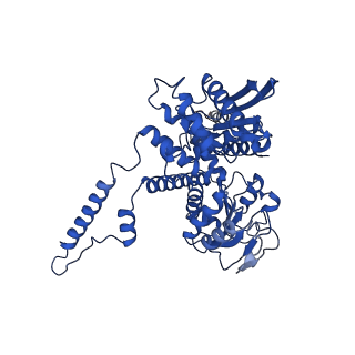 37266_8w4j_F_v1-1
Cryo-EM structure of the KLHL22 E3 ligase bound to human glutamate dehydrogenase I