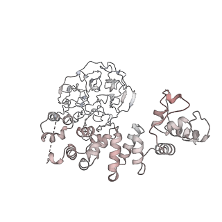 37266_8w4j_I_v1-1
Cryo-EM structure of the KLHL22 E3 ligase bound to human glutamate dehydrogenase I