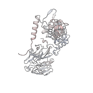 37266_8w4j_J_v1-1
Cryo-EM structure of the KLHL22 E3 ligase bound to human glutamate dehydrogenase I