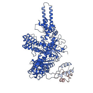 21541_6w5c_A_v1-1
Cryo-EM structure of Cas12i(E894A)-crRNA-dsDNA complex