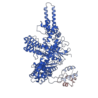 21541_6w5c_A_v1-2
Cryo-EM structure of Cas12i(E894A)-crRNA-dsDNA complex