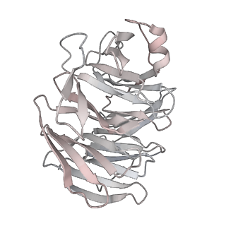 21543_6w5m_A_v1-1
Cryo-EM structure of MLL1 in complex with RbBP5, WDR5, SET1, and ASH2L bound to the nucleosome (Class02)