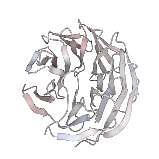 21543_6w5m_B_v1-1
Cryo-EM structure of MLL1 in complex with RbBP5, WDR5, SET1, and ASH2L bound to the nucleosome (Class02)