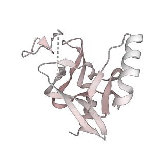 21543_6w5m_C_v1-1
Cryo-EM structure of MLL1 in complex with RbBP5, WDR5, SET1, and ASH2L bound to the nucleosome (Class02)